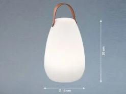 FHL Easy 2er SET Outdoor Akku Tischlampen Mit RGB & Fernbedienung In 2 Größen -Licht Welt Geschaft 2er set outdoor akku tischlampen mit rgb fernbedie 3