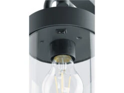 Trio Leuchten Außenwandleuchte Laterne SAMBESI In Anthrazit, Höhe 33cm -Licht Welt Geschaft aussenwandleuchte laterne sambesi in anthrazit hoe 4