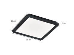 Reality Leuchten Dimmbare LED Deckenleuchte CAMILLUS Flache Badezimmerlampe 30x30cm Schwarz IP44 -Licht Welt Geschaft dimmbare led deckenleuchte camillus flache badezim 55