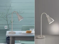 Fischer & Honsel Flexible Schreibtischlampe LOLLAND Grau, Leselampe / Arbeitsleuchte