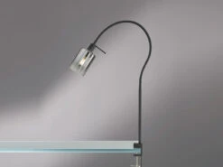 Fischer & Honsel Klemmlampe ISKA Schwarz Mit Rauchglas - Leselampe Mit Schwanenhals