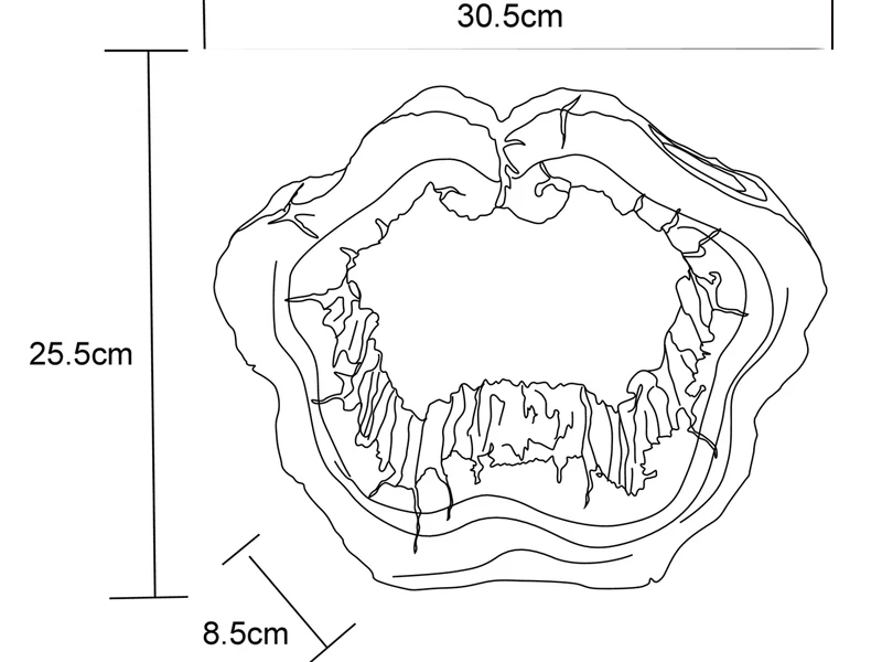Globo LED Solar Tischleuchte In Holzoptik, Baumstamm Mit Loch, Höhe 25,5cm 3 Globo LED Solar Tischleuchte In Holzoptik, Baumstamm Mit Loch, Höhe 25,5cm – Bild 3