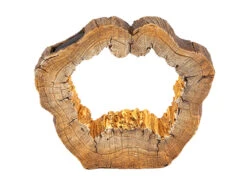 Globo LED Solar Tischleuchte In Holzoptik, Baumstamm Mit Loch, Höhe 25,5cm 11 Globo LED Solar Tischleuchte In Holzoptik, Baumstamm Mit Loch, Höhe 25,5cm -Licht Welt Geschaft led solar tischleuchte in holzoptik baumstamm mit 1 4