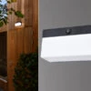 Lutec LED Solar Wandleuchte FRAN Breite 18cm Bewegungsmelder, Per App Steuerbar