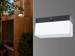 Lutec LED Solar Wandleuchte FRAN Breite 18cm Bewegungsmelder, Per App Steuerbar