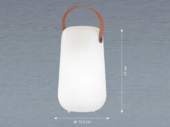 FHL Easy Outdoor Akku Tischlampe COLLGAR Mit Fernbedienung & RGB, Höhe 21cm -Licht Welt Geschaft outdoor akku tischlampe collgar mit fernbedienung 1 2