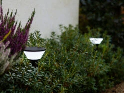 Lutec Solar LED Wegeleuchte KARLO 45cm, Bewegungsmelder & RGB Farbwechsel -Licht Welt Geschaft solar led wegeleuchte karlo 45cm bewegungsmelder r 2